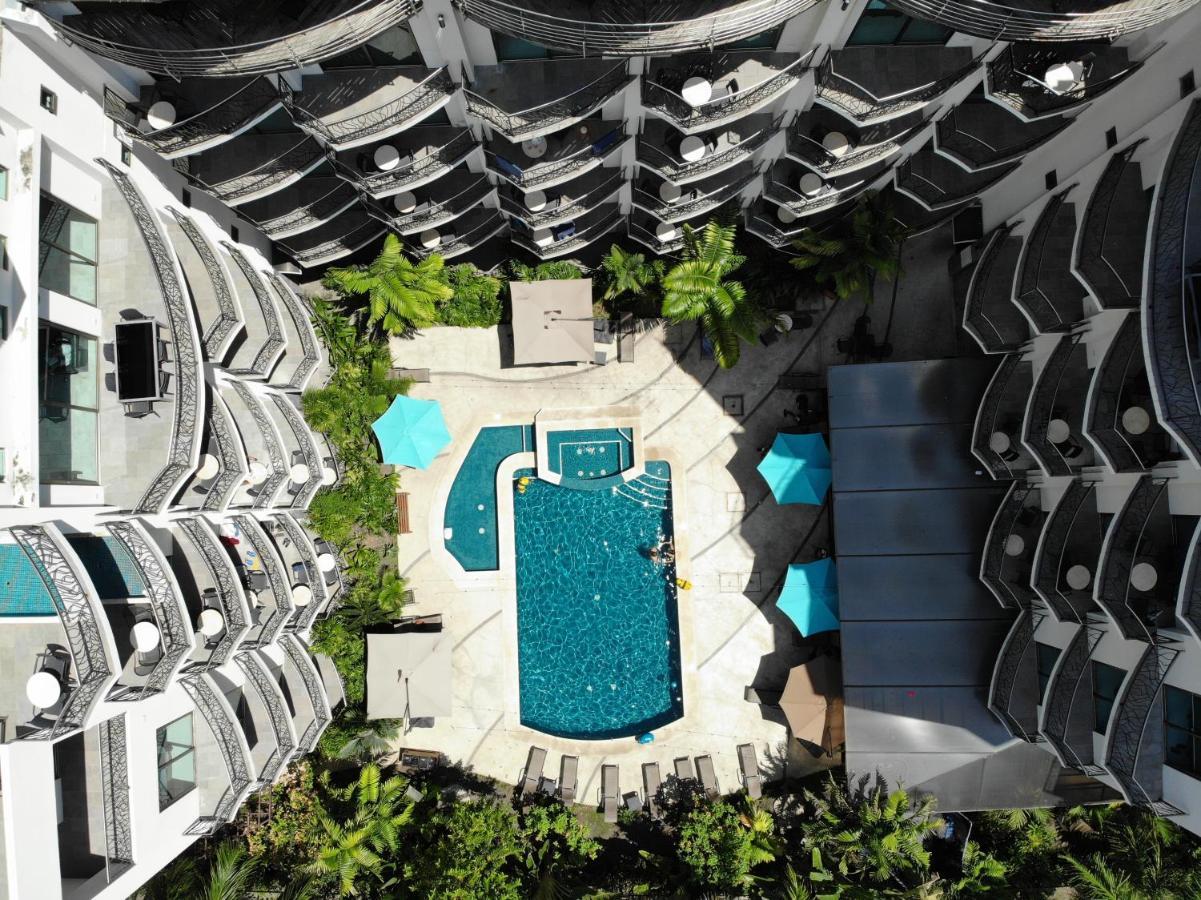 Pacific Suites Boutique Hotel And Bistro ハコ エクステリア 写真